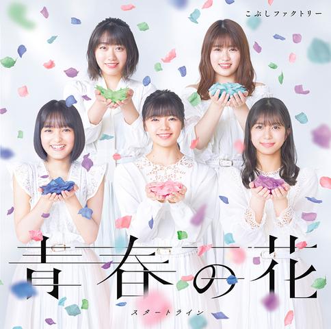 [MV] Kobushi Factory 青春の花/スタートライン [Limited Edition A DVD] (2020.03.04/MP4/RAR) (DVDISO)
