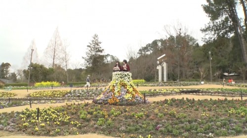 [TV-Variety] 200321 新YNN NMB48 CHANNEL ポクポク百景モグモグ旅 #14 (NMB48 梅山恋和 河野奈々帆)