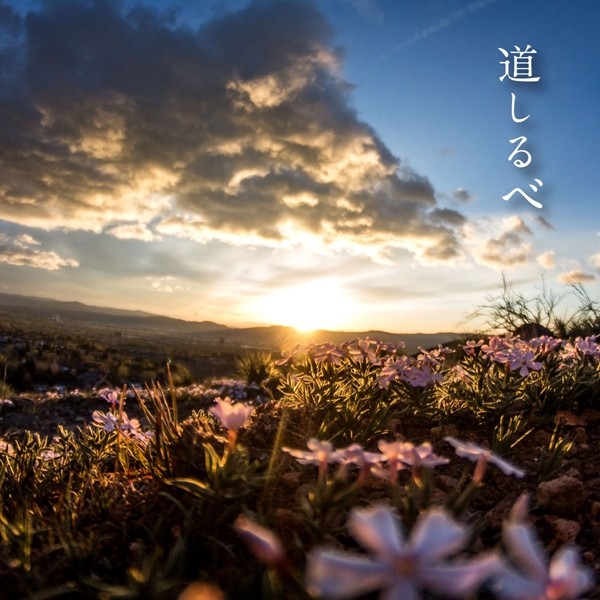 [Single] 絢香 (ayaka) – 道しるべ [24bit Lossless + AAC 256 / WEB] [2020.03.04]
