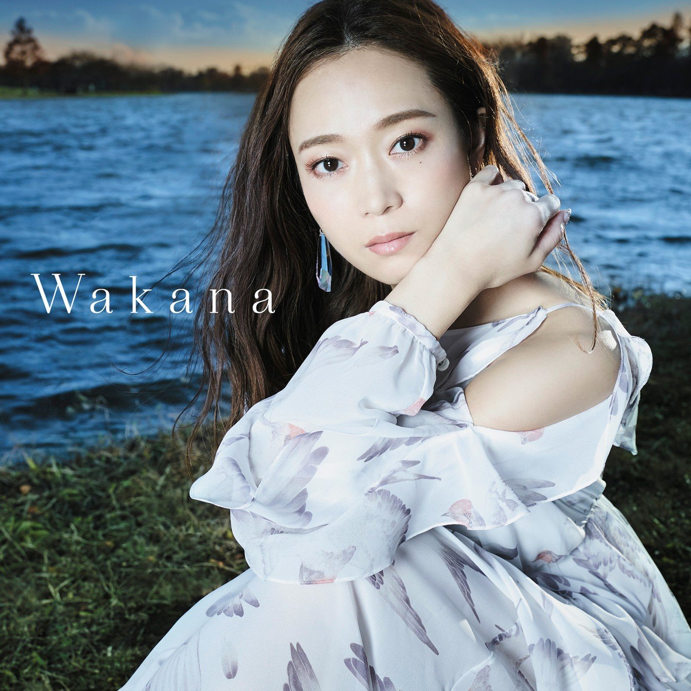 [Album] 大滝若菜 (Wakana) – Wakana [FLAC / 24bit Lossless / WEB] [2019.03.20]