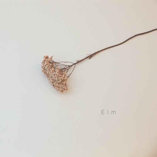 [Single] arabesque Choche – Elm [24bit Lossless + MP3 320 / WEB] [2020.06.10]