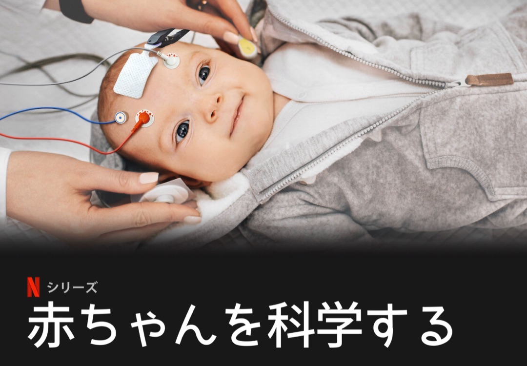 [ドラマ] 赤ちゃんを科学する 第2シーズン 全6話 (2020) (WEBRIP)