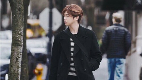 [MUSIC VIDEO] Kang Daniel – HELLO, DANIEL: TRAVEL STORY IN PORTLAND & LA (2020.06.30/MP4/RAR)