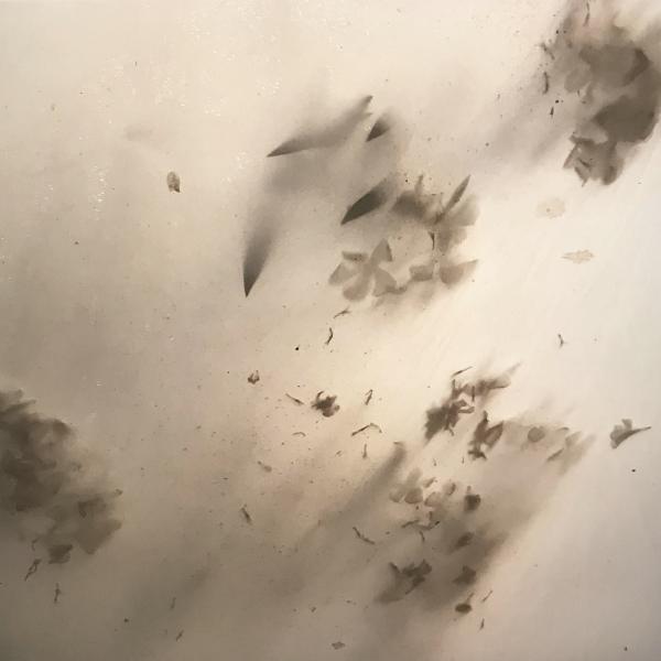 [Single] Vampillia – fenghuang [FLAC / 24bit Lossless / WEB] [2019.08.09]