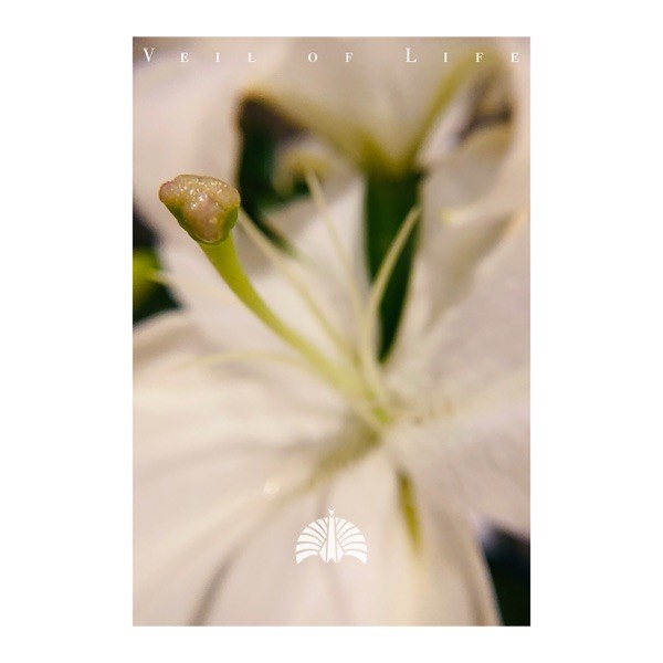 [Single] 東京事変 (Tokyo Jihen) – 命の帳 [FLAC / 24bit Lossless / WEB] [2020.11.13]