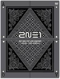 [TV-SHOW] 2NE1 1st Concert ‘NOLZA!’ LIVE in SEOUL（仮） (2011.12.22) (BDRIP)
