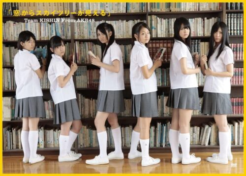 [MUSIC VIDEO] AKB48 Team KISHIN 窓からスカイツリーが見える. (2011/MP4/RAR) (DVDRIP)