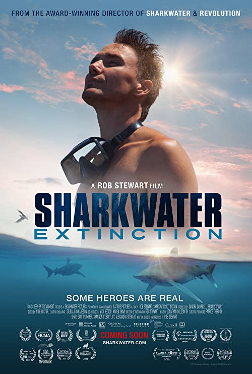 [MOVIES] シャークウォーター 滅びゆく捕食者 (2021) (WEBRIP)