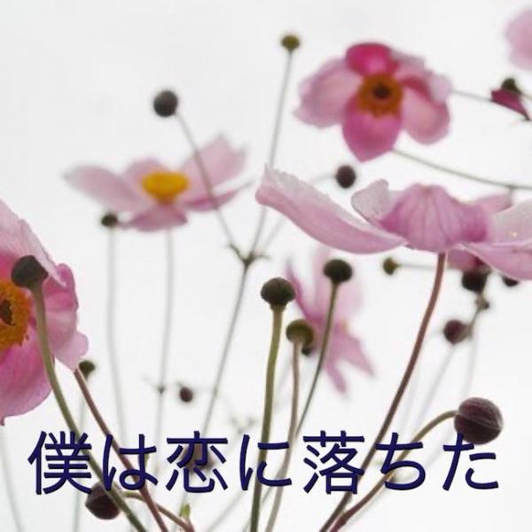 [Single] 初音ミク (Hatsune Miku) – 僕は恋に落ちた [FLAC / 24bit Lossless / WEB] [2021.02.20]