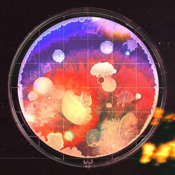[Single] アイナ・ジ・エンド (Aina The End) – 誰誰誰 [FLAC / 24bit Lossless / WEB] [2021.02.23]