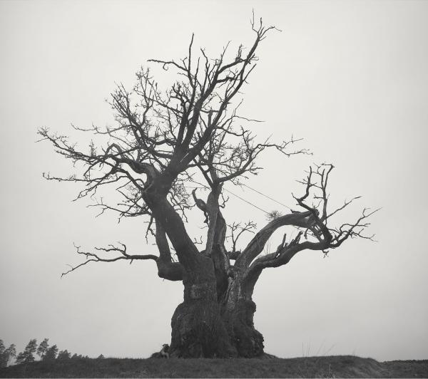 [Album] SEKAI NO OWARI – せかいのおわり2010-2019 [MP3 VBR] [2021.02.10]