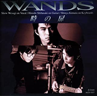 [Album] WANDS – 時の扉 [MP3 320 / CD]