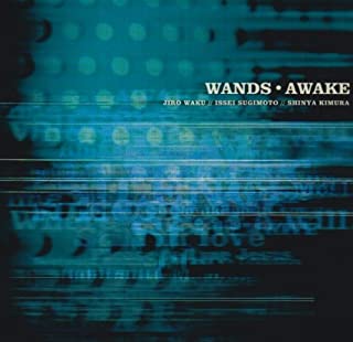 [Album] WANDS – AWAKE [MP3 320 / CD]