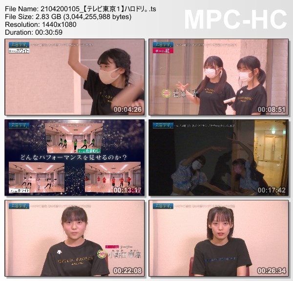 [TV-Variety] ハロドリ。 – 2021.04.19