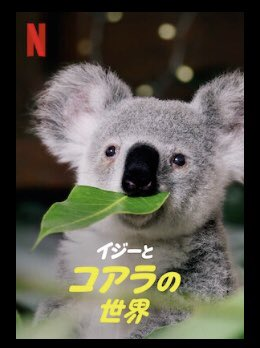 [ドラマ] イジーとコアラの世界 第1シーズン 全8話 (2021) (WEBRIP)
