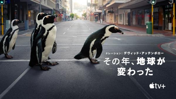 [ドラマ] ドキュメンタリー (2021) (WEBRIP)