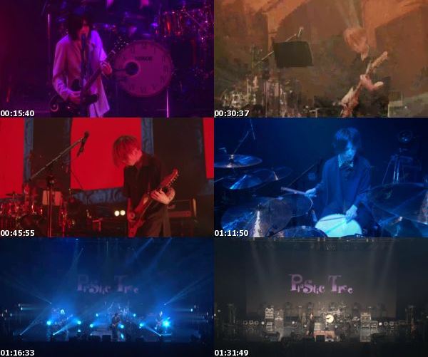 [TV-Variety] Plastic Tree – streaming live “Peep Plastic Partition #6 Hakusei” (2021.03.28)