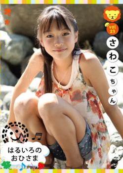 [DVDRIP] はるいろのおひさま ２３ さわこちゃん [OHI-023]