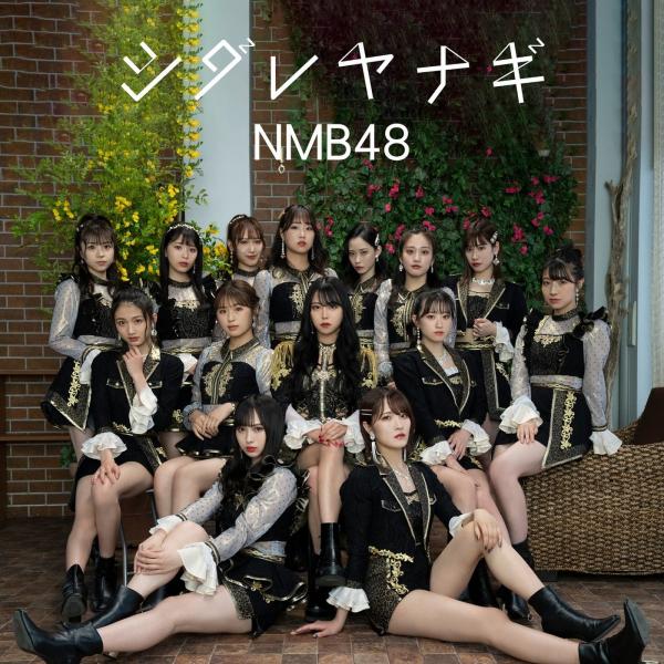 [Single] NMB48 – シダレヤナギ (Special Edition) [FLAC + MP3 320 / WEB] [2021.06.16]