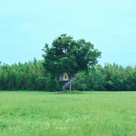 [Single] Novelbright – ライフスコール (2021.07.23/MP3+Hi-Res FLAC/RAR)