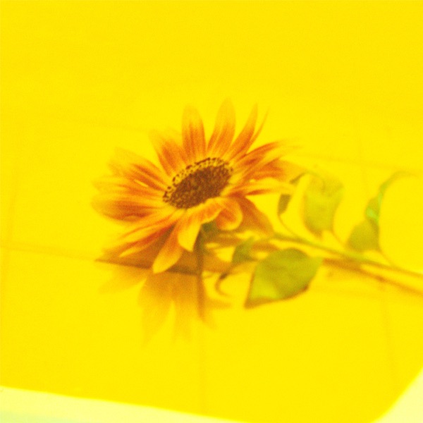 [Single] Vaundy – 花占い (2021.07.05/MP3+Hi-Res FLAC/RAR)