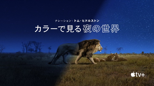 [ドラマ] カラーで見る夜の世界 シーズン2 全6話 (2021) (WEBDL)