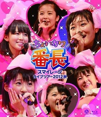[TV-SHOW] スマイレージ – スマイレージライブツアー2012秋〜ちょいカワ番長〜 (2013.02.20) (BDRIP)