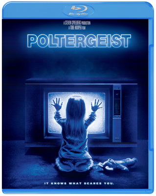 [MOVIES] ポルターガイスト (2015) (BDREMUX)