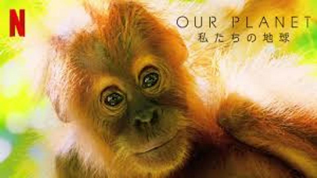 [ドラマ] OUR PLANET 私たちの地球 全8話 (2021) (WEBDL 4K)