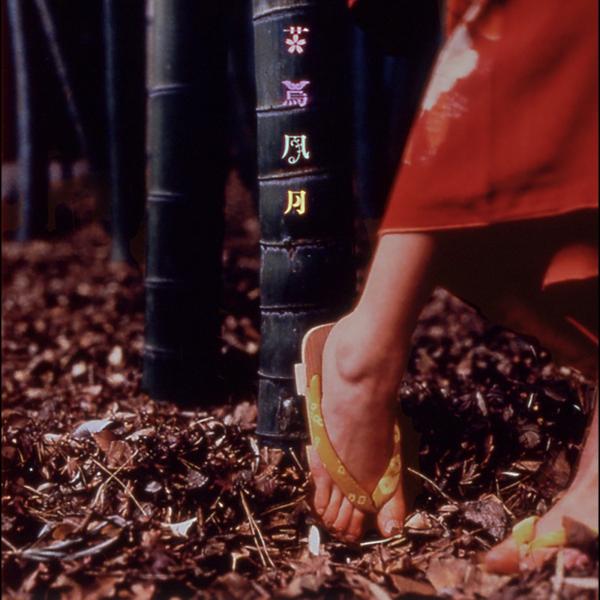 [Album] スピッツ (Spitz) – 花鳥風月 (30th Anniversary Edition – 2021) [FLAC + MP3 / WEB] [1999.03.25]