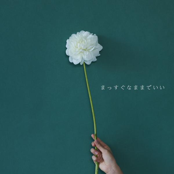 [Single] ひかりのなかに (Hikarinonakani) – まっすぐなままでいい [FLAC / WEB] [2021.02.03]