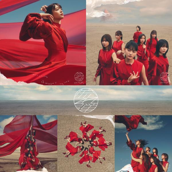 [Single] 櫻坂46 (Sakurazaka46) – 流れ弾 (Special Edition) [FLAC + MP3 320 / WEB] [2021.10.13]