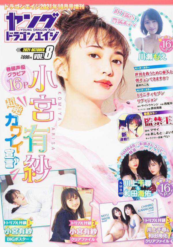[雑誌] ドラゴンエイジ増刊 ヤングドラゴンエイジ VOL1-8