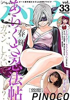 [雑誌] ハレム vol.31-33