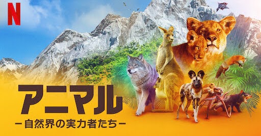 [ドラマ] アニマル －自然界の実力者たち－ 第1シーズン 全4話 (2021) (WEBRIP)