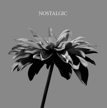 [MUSIC VIDEO] HYDE – NOSTALGIC 付属DVD (2021.10.06/MP4/RAR) (DVDISO)