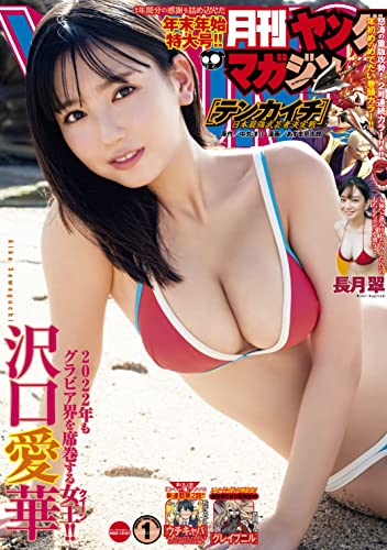 [雑誌] 月刊ヤングマガジン 2022年No.1