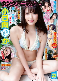 [雑誌] ヤングアニマル 2021年 22号+23号