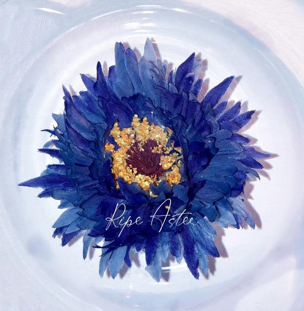 [Single] 八木海莉 (from Vivy: Fluorite) – Ripe Aster (2021.12.18/MP3+Hi-Res FLAC/RAR)