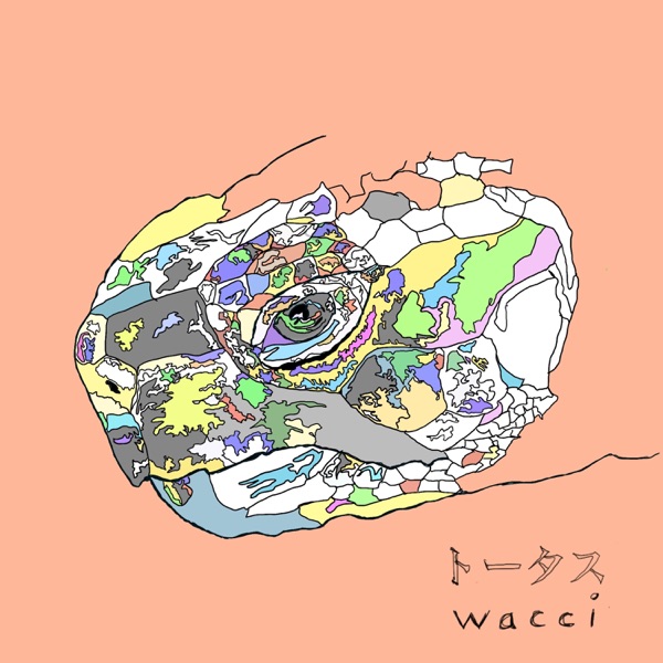 [Single] wacci – Tortoise (2022.01.14/MP3+Hi-Res FLAC/RAR)