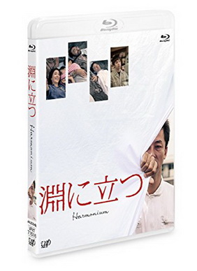 [MOVIES] 淵に立つ (2016) (BDRIP)