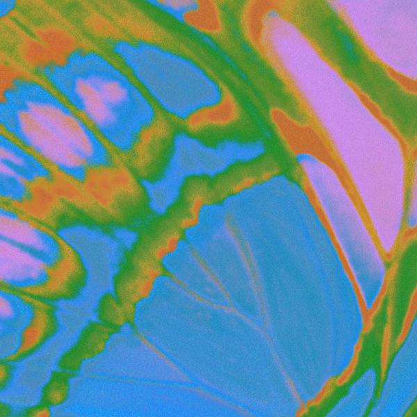 [Single] Daoko & Yohji Igarashi – MAD EP [FLAC / 24bit Lossless / WEB] [2022.03.23]