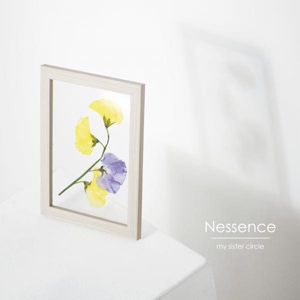 [Album] my sister circle – Nessence [FLAC / WEB] [2022.03.23]