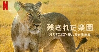 [MOVIES] 残された楽園: オカバンゴ・デルタを生きる (2022) (WEBRIP)