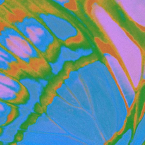 [Single] Daoko – MAD (2022.03.23/MP3+Flac/RAR)