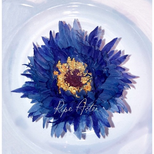 [Single] 八木海莉 (Kairi Yagi) – Ripe Aster [FLAC / 24bit Lossless / WEB] [2022.03.16]