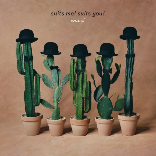 [Album] wacci – suits me! suits you! [FLAC / 24bit Lossless / WEB] [2022.11.09]
