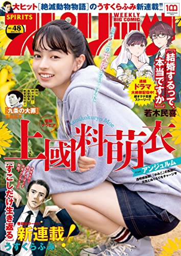 [雑誌] 週刊ビッグコミックスピリッツ 2022年48号