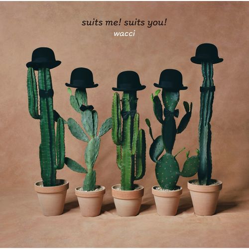 [Album] wacci – suits me! suits you! (2022.11.09/MP3/RAR)