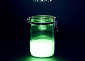 [Album] SAKANAMON – HAKKOH (2022.10.26/MP3+Flac/RAR)